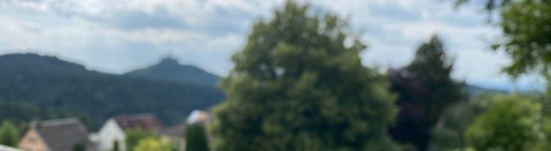 Le Havre de la Chouette : un centre holistique au cœur de la forêt vosgienne