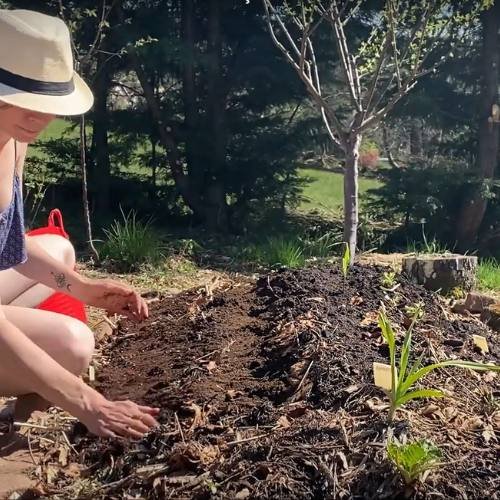 formation autonomie alimentaire permaculture syntropie