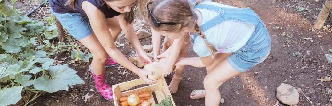 Le Club des Chouettes : un nouveau rendez-vous nature pour les familles à Dabo / La Hoube