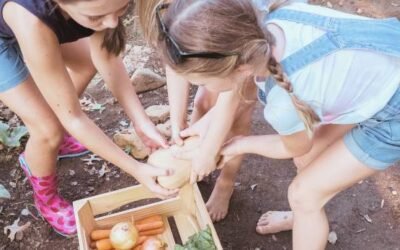 Le Club des Chouettes : un nouveau rendez-vous nature pour les familles à Dabo / La Hoube