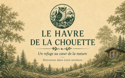 Le Havre de la Chouette : Création d’un Gîte de Ressourcement