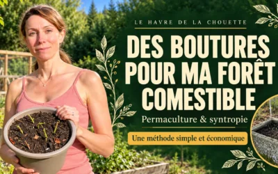 Permaculture et syntropie : des boutures pour ma forêt comestible